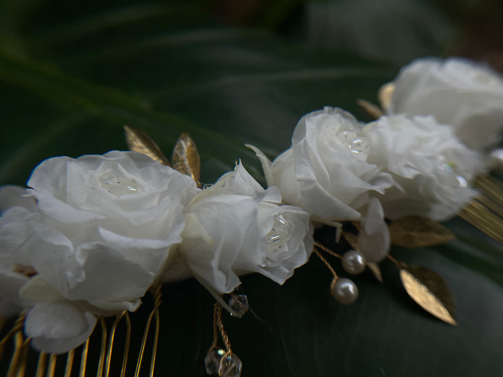 CLARABEL | PEIGNE DEMIE COURONNE