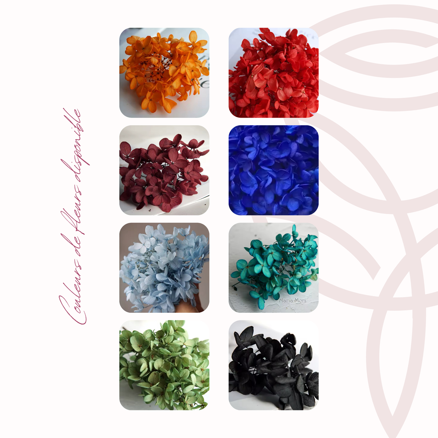 Elina- Collection 2026