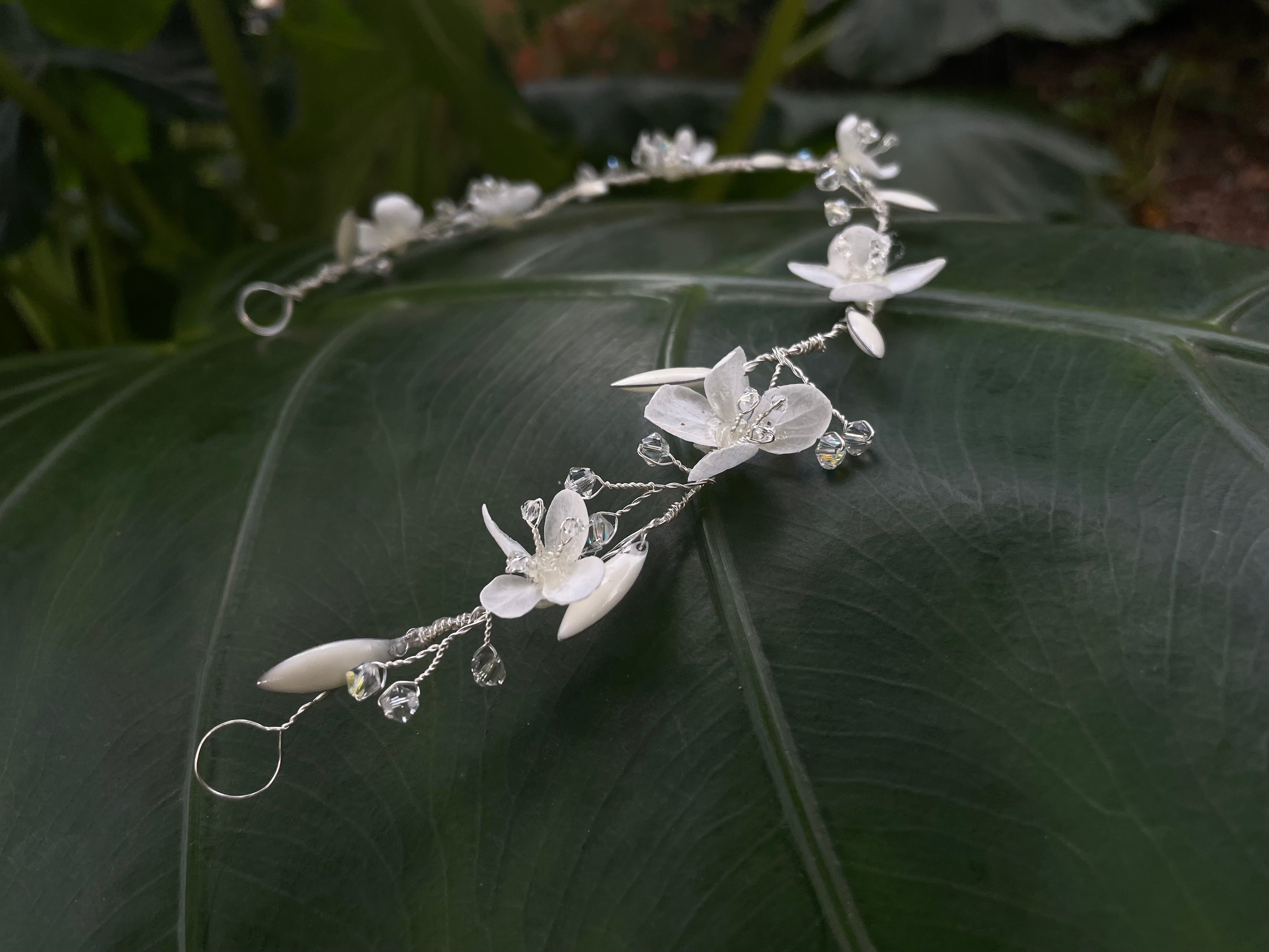 ELI | VIGNE DE CHEVEUX