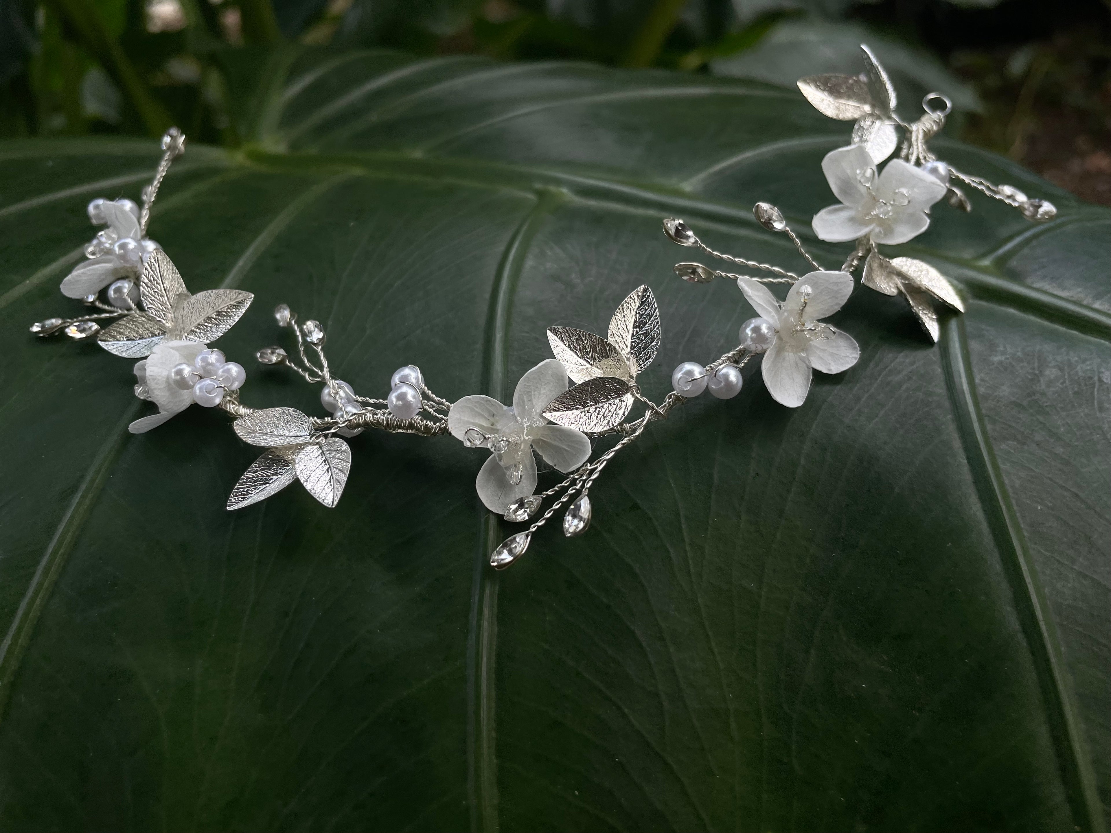 SÉLÉNIA | VIGNE DE CHEVEUX