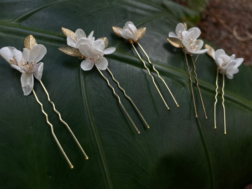 AZElLA | FICHE MÈCHE